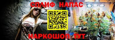 молекула духа Севастополь