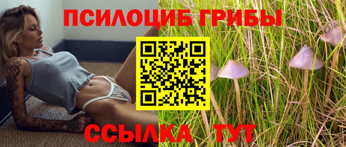 Псилоцибиновые грибы Magic Shrooms  Вход с VPN  Новодвинск 